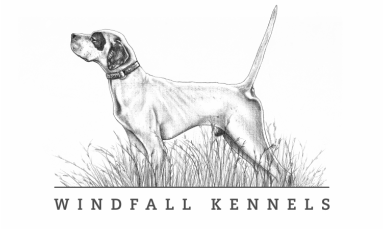 Windfall Kennels